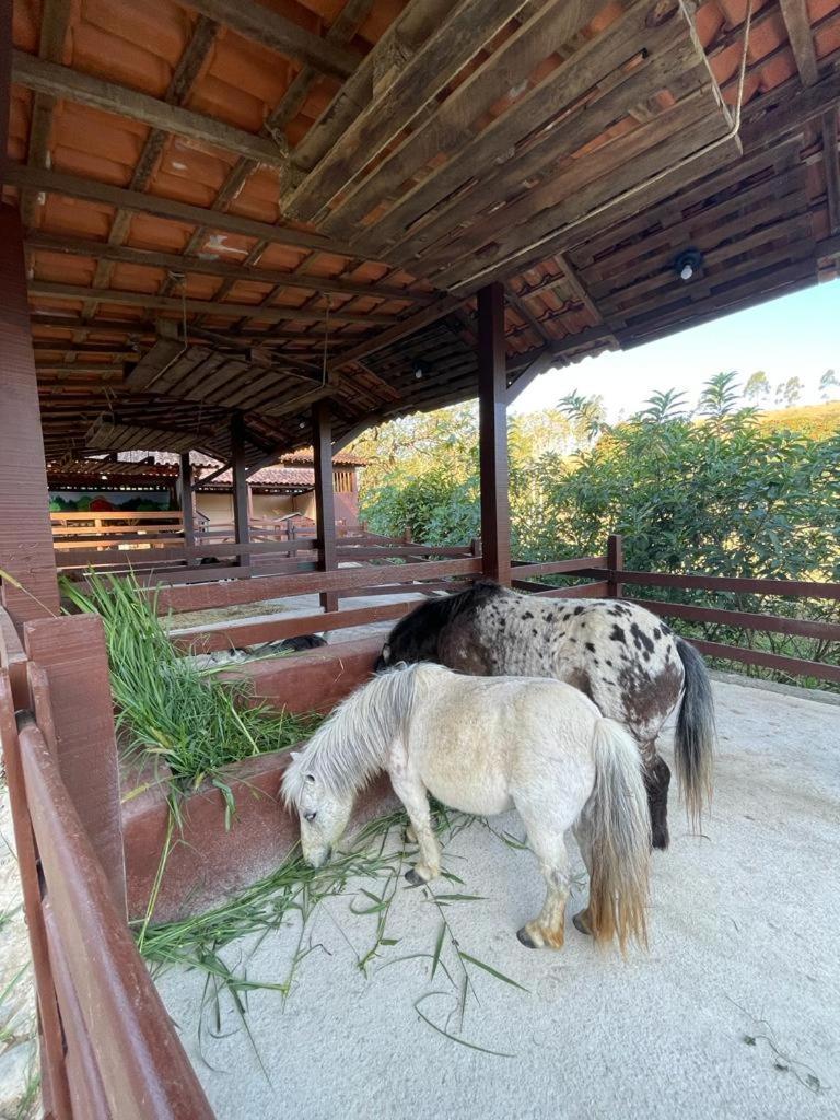 Hotel Fazenda Rochedo Conservatoria Exterior photo